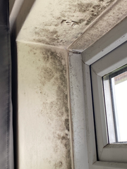 Condensation & Mould Control